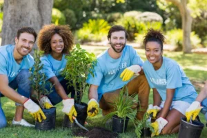 Volunteer group planting Because of the Google ad grant 